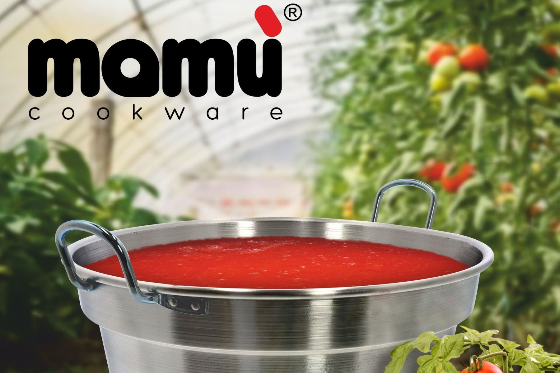 La vera contadina Mamà linea La vera contadina Pentola Caldaia