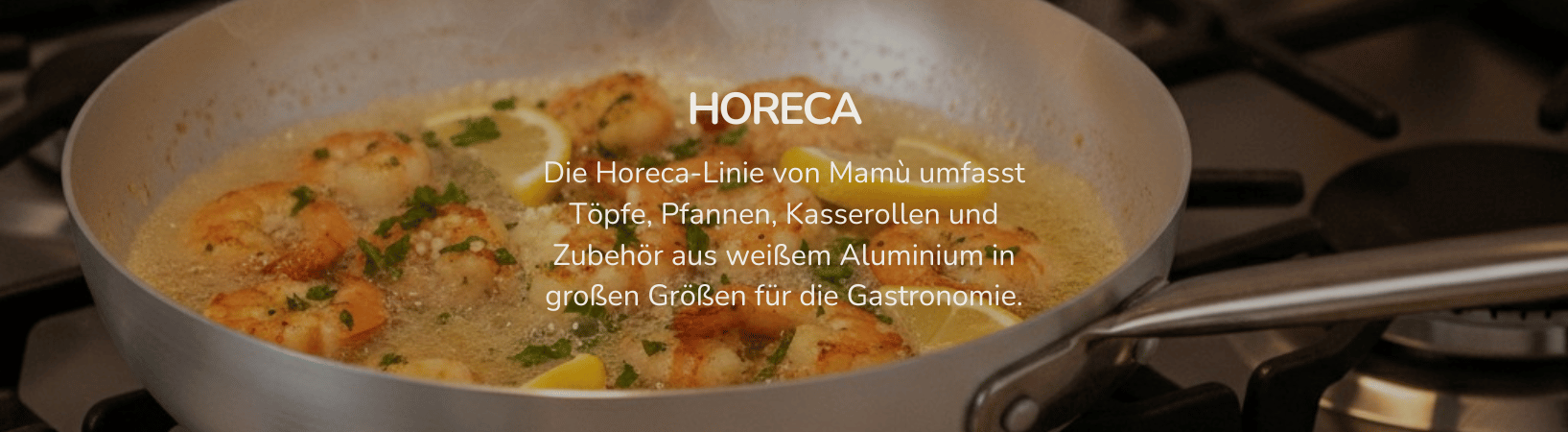 Horeca Horeca linee prodotti Mamu cookware de